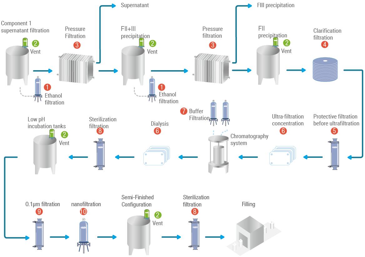 IVIG Process.jpg